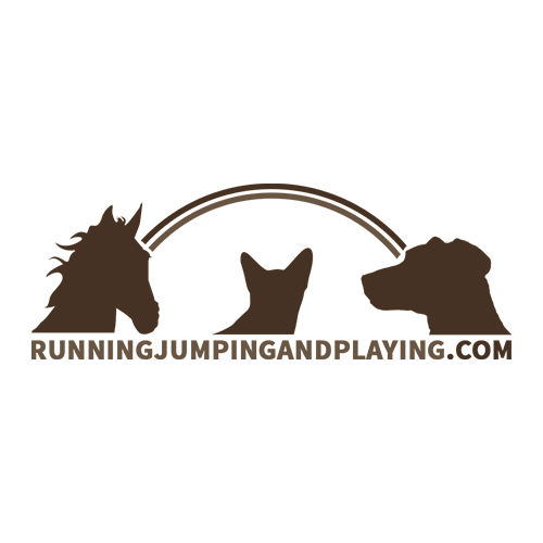 Running, Jumping and Playing Project